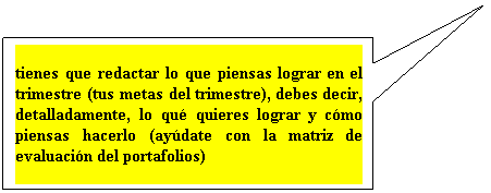 Llamada rectangular: tienes que redactar lo que piensas lograr en el trimestre (tus metas del trimestre), debes decir, detalladamente, lo qu� quieres lograr y c�mo piensas hacerlo (ay�date con la matriz de evaluaci�n del portafolios)
