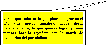 Llamada rectangular: tienes que redactar lo que piensas lograr en el a�o (tus metas anuales), debes decir, detalladamente, lo qu� quieres lograr y c�mo piensas hacerlo (ay�date con la matriz de evaluaci�n del portafolios)
